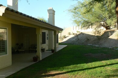 back yard