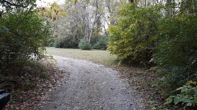 Coming in the driveway. 