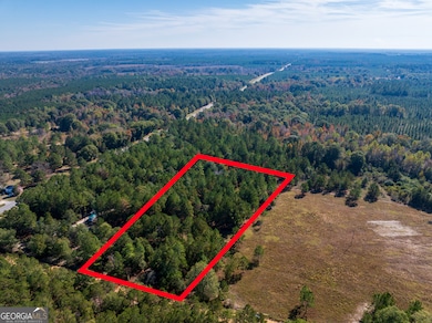 3.72 ACRES Florence Gay Rd, Cadwell, GA 31009 - photo 2