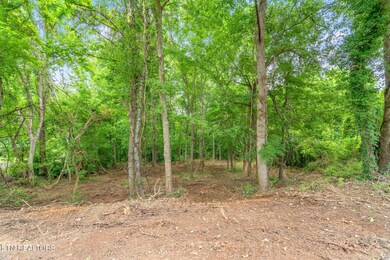 2-web-or-mls-Lot 51 Orchard Knob-3