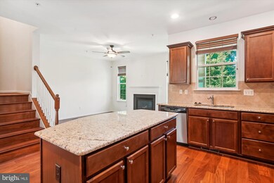 23204 Scholl Manor Way unit 1314, Clarksburg, MD 20871 - photo 4