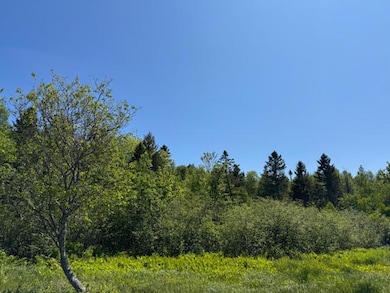 104 County Rd, Eastport, ME 04631 - photo 5