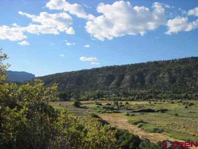 0 Cr 251, Durango, CO 81301 - photo 3