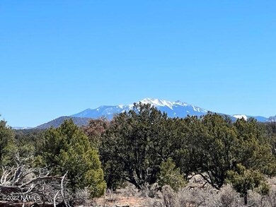IMG_2206