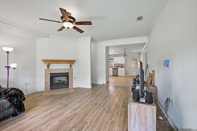 26671 Oliver Wheat Rd, Livingston, LA 70754 - photo 3