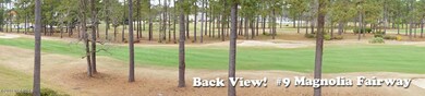 Back View Pano