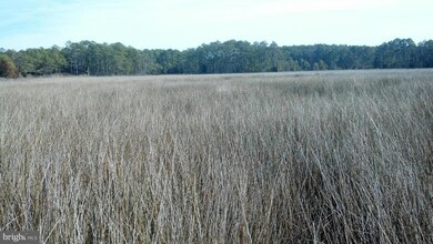 2796 Lakesville Crapo Rd, Church Creek, MD 21622 - photo 7