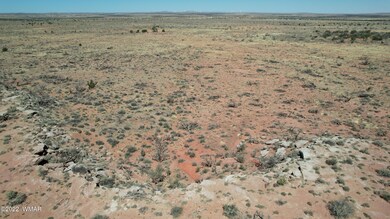 DJI_0054
