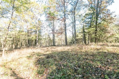 0 Nogales Rd unit 1031757, Elkins, AR 72727 - photo 5