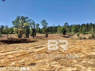 0 W 7th St unit 388473, Bay Minette, AL 36507 - photo 2