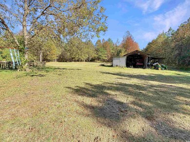 View of grassy yard featuring an outbuilding