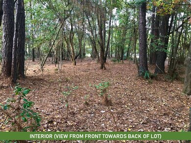 27510 E Benders Landing Blvd, Spring, TX 77386 - photo 7