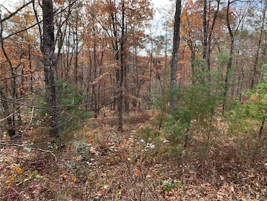 315 Highridge Pkwy, Marietta, SC 29661 - photo 2