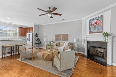 4206 Climbing Tree Ct, Charleston, SC 29414 - photo 3