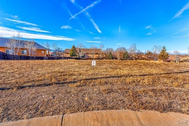 1011 Willowcrest Place, Pueblo, CO 81005 - photo 2