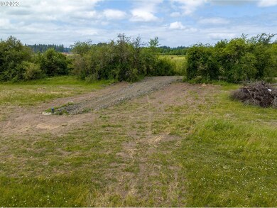 0 Laussier Rd unit L1 23260739, Toledo, WA 98591 - photo 6