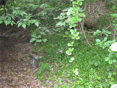 Yard/Garden.