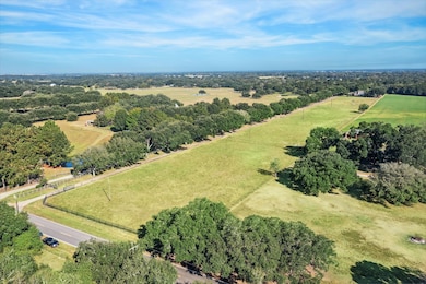 A long gated drive flanked by 32 stately Live Oak