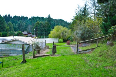 IMG_8958