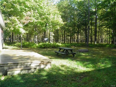 Deck and back yard