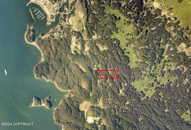 KPB Area Sat Map