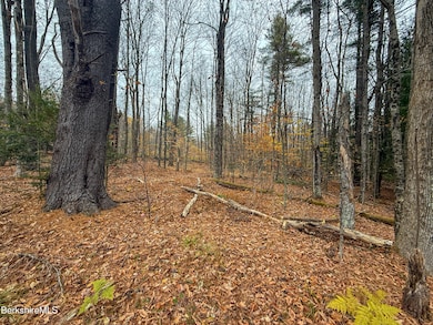LOT10 Benton Hill Rd, Becket, MA 01223 - photo 3