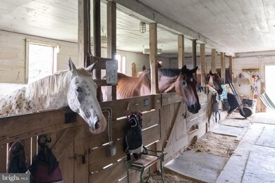 2734 Calkins Rd, Herndon, VA 20171 - photo 5