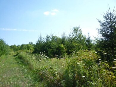 Vacant Land 10 acres 02