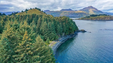 0 the Point 5a Cliff Point Rd unit Lot 11175676, Kodiak, AK 99615 - photo 3