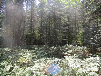 IMG_0702