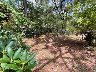 Private Back Yard