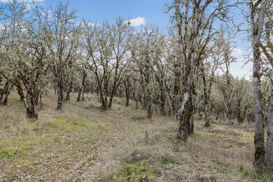 9483 Blackwell Rd, Central Point, OR 97502 - photo 4