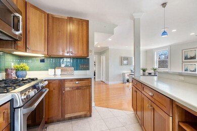 17 Regent Cir unit 5, Brookline, MA 02445 - photo 7