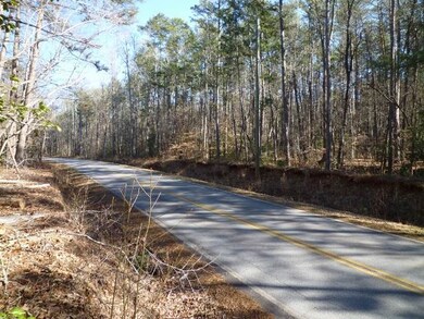 Lot 11 Dynamite Rd unit Lot 11 Dynamite Rd, Tamassee, SC 29686 - photo 2