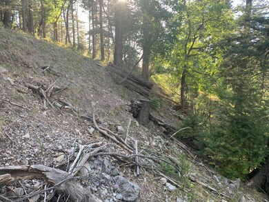 0 Canyon Trail unit 85 168237, Cloudcroft, NM 88317 - photo 4