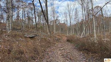 0 Gaddie Cottrell unit SC47484, Bonnieville, KY 42713 - photo 3