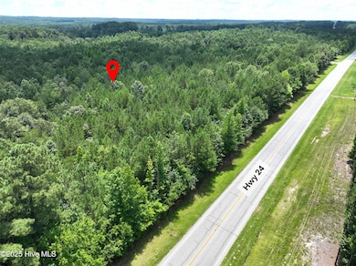 0 State 24, Eagle Springs, NC 27242 - photo 3