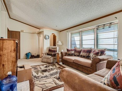 116 Virginia St, Idaho Springs, CO 80452 - photo 5