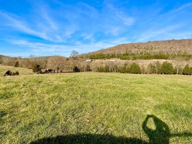 231 Highway 1003, Somerset, KY 42501 - photo 6