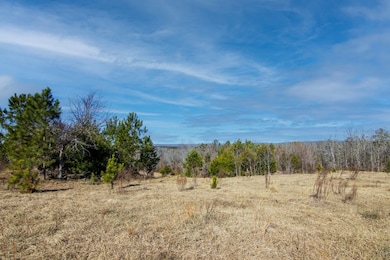 0 Saint Paul Church Rd, Shiloh, GA 31826 - photo 3