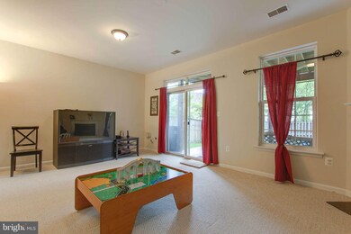 46794 Vermont Maple Terrace, Sterling, VA 20164 - photo 6