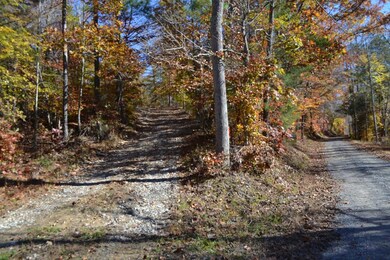 28.30ac Whitson Hollow Rd, Red Boiling Springs, TN 37150 - photo 4