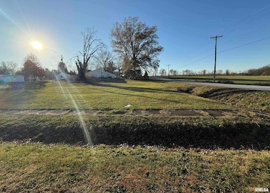 0 Jackson St, Hurst, IL 62949 - photo 2