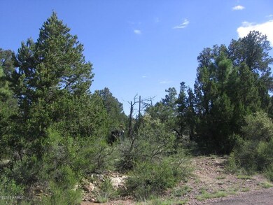 Red Deer Lot  Irene 014