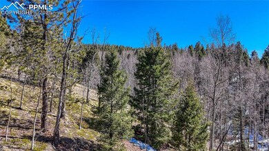 542 Vivenda Rd, Cripple Creek, CO 80813 - photo 5