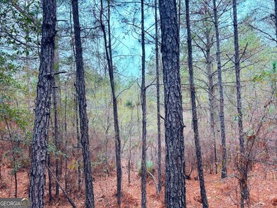 0 Jw Miller Rd unit 10655806, Reynolds, GA 31076 - photo 4