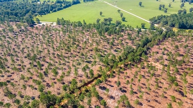 (Lot 10) Shadow Lane Camp Rawls Rd, Wagener, SC 29164 - photo 2
