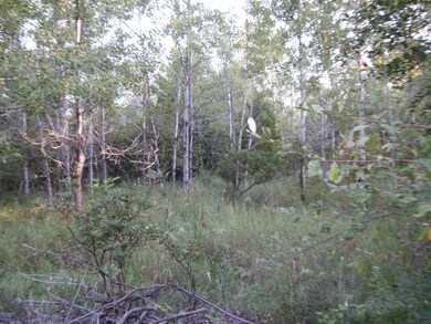 0 W Fairway St unit 18042237, Onekama Township, MI 49675 - photo 7