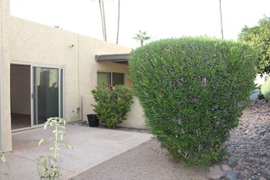 Private Back Patio