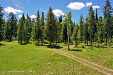 6125/6785 W Heck-Of-a-hill & Gill Huff Rd, Wilson, WY 83014 - photo 6